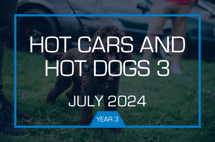 Year 3 - Hot Cars and Hot Dogs 3