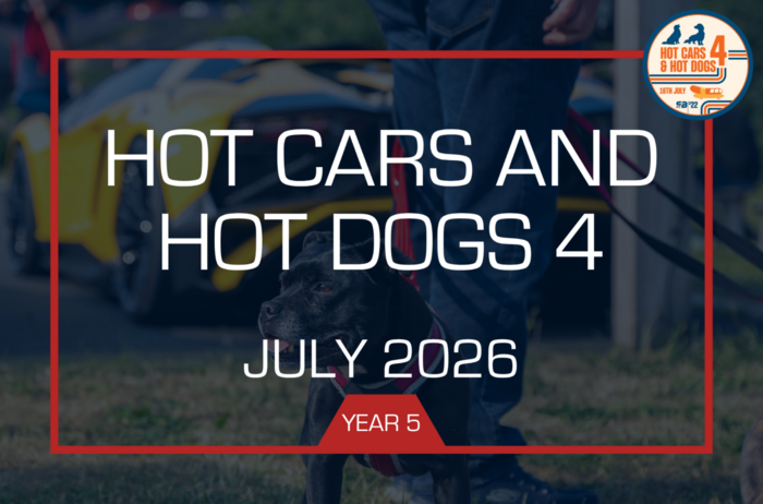 Year 5 - Hot Cars and Hot Dogs 4