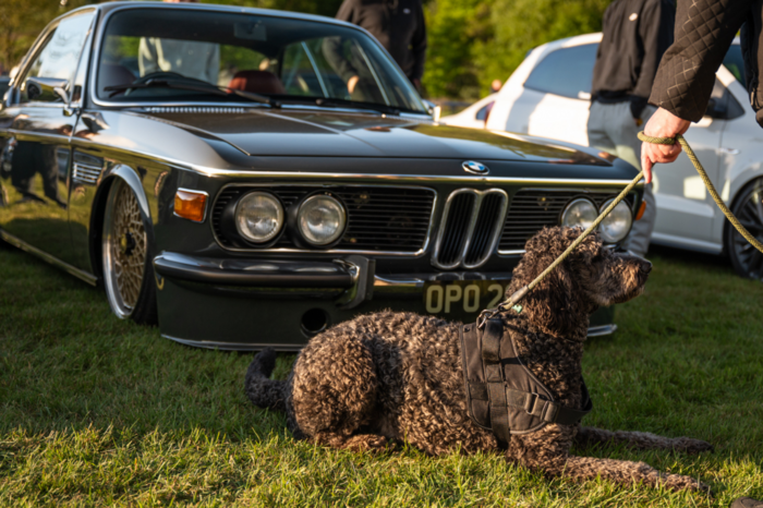 Das Auto Barn celebrated the history of German cars